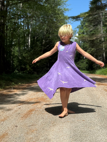 Bird Swing Dress